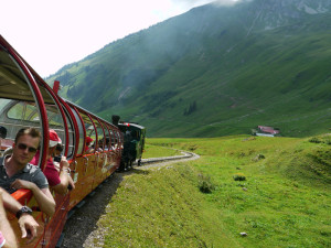 緑の山あいを行くブリエンツ・ロートホルンへの蒸気機関車