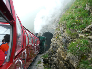 トンネルへ向かうブリエンツの蒸気機関車