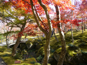 箱根美術館内庭園