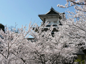 桜の中の石川門
