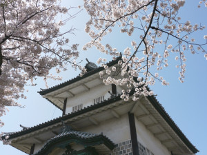 金沢城アップと桜