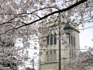 元町公園_洋館と桜